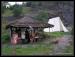 Keltsko-římská bitva 2008